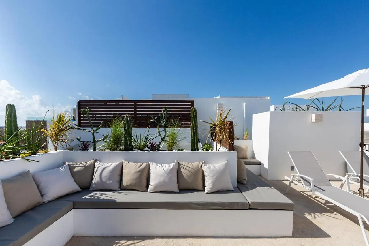 Best Penthouses & Apartments In Pdc! 2 & 1 Bedroom Units Close To The 5Th Av Playa del Carmen